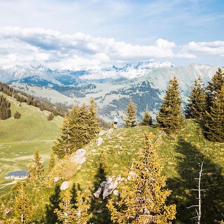 Saanen Gstaad Youth Hostel Kültér fotó